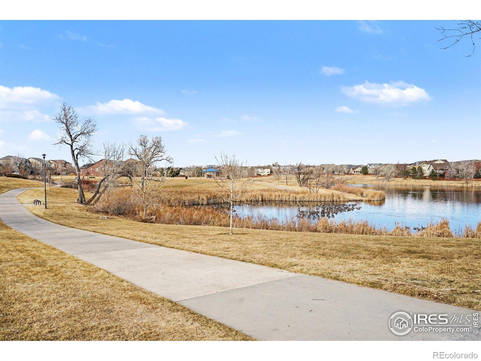 MLS Image #43 for 13190  kearney street,thornton, Colorado