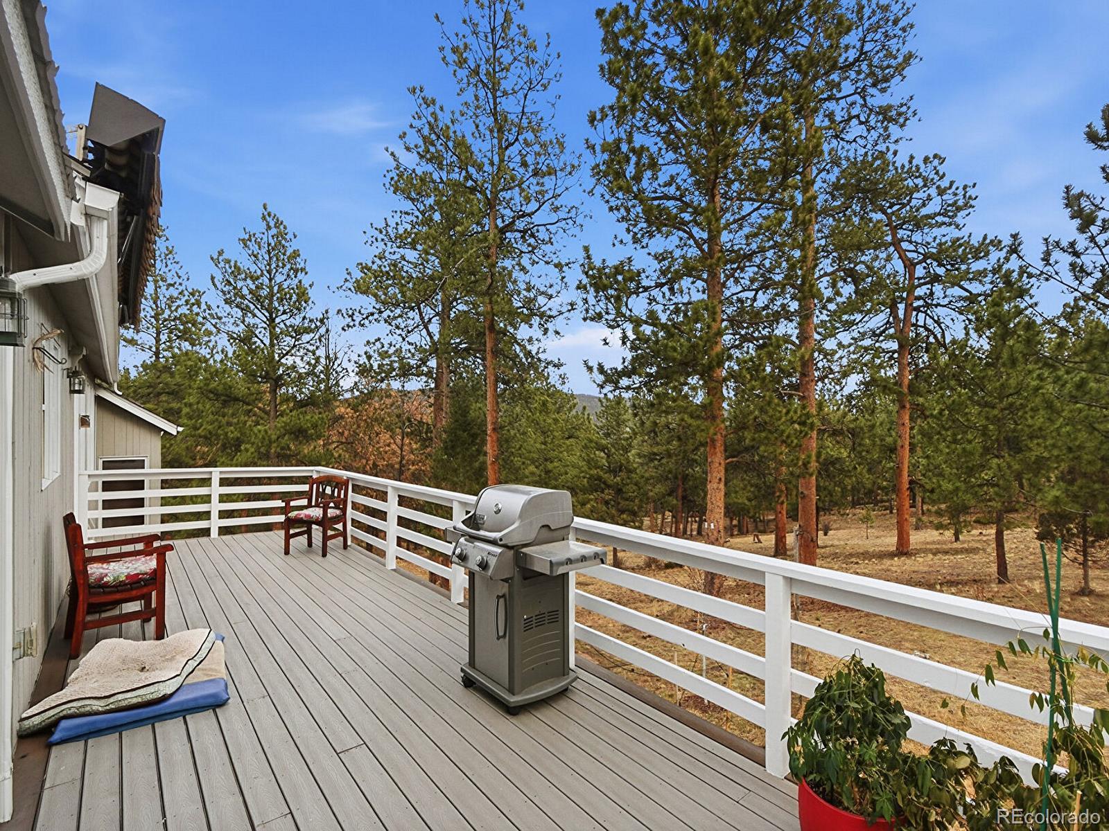 MLS Image #21 for 13892  douglas ranch drive,pine, Colorado