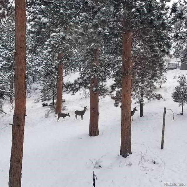 MLS Image #24 for 13892  douglas ranch drive,pine, Colorado