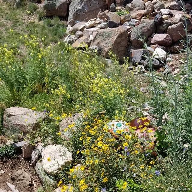 MLS Image #25 for 13892  douglas ranch drive,pine, Colorado