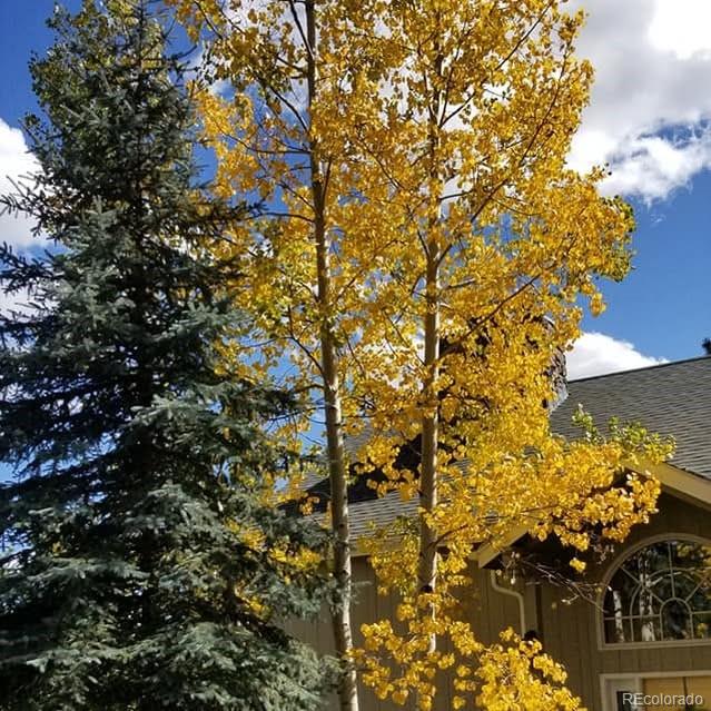 MLS Image #44 for 13892  douglas ranch drive,pine, Colorado