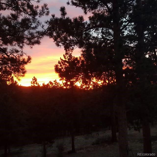 MLS Image #48 for 13892  douglas ranch drive,pine, Colorado