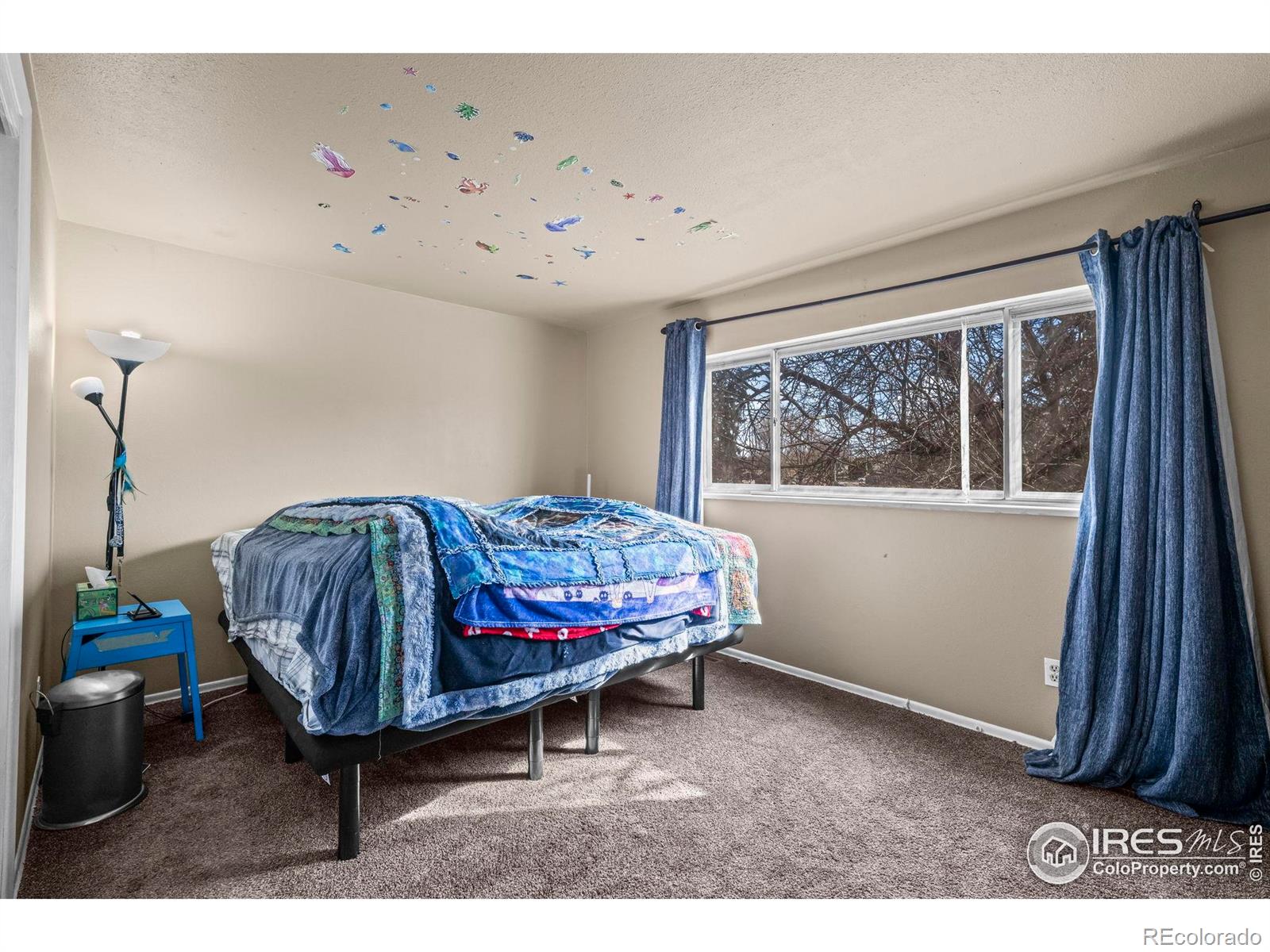 MLS Image #11 for 1403 s coffman street,longmont, Colorado