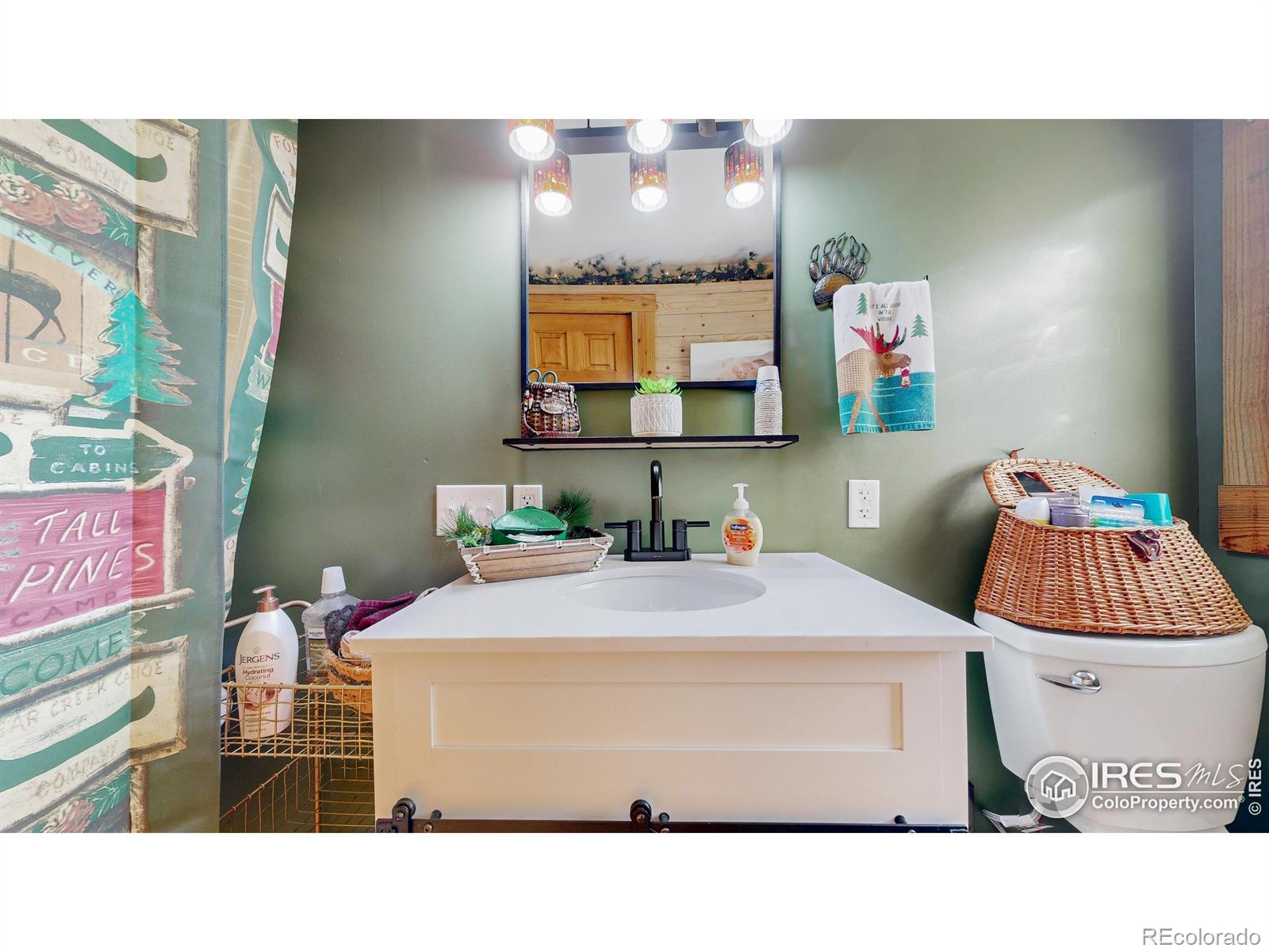 MLS Image #13 for 2420  big owl road,allenspark, Colorado