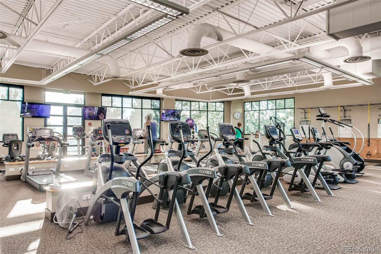 MLS Image #39 for 8643  gold peak drive f,highlands ranch, Colorado