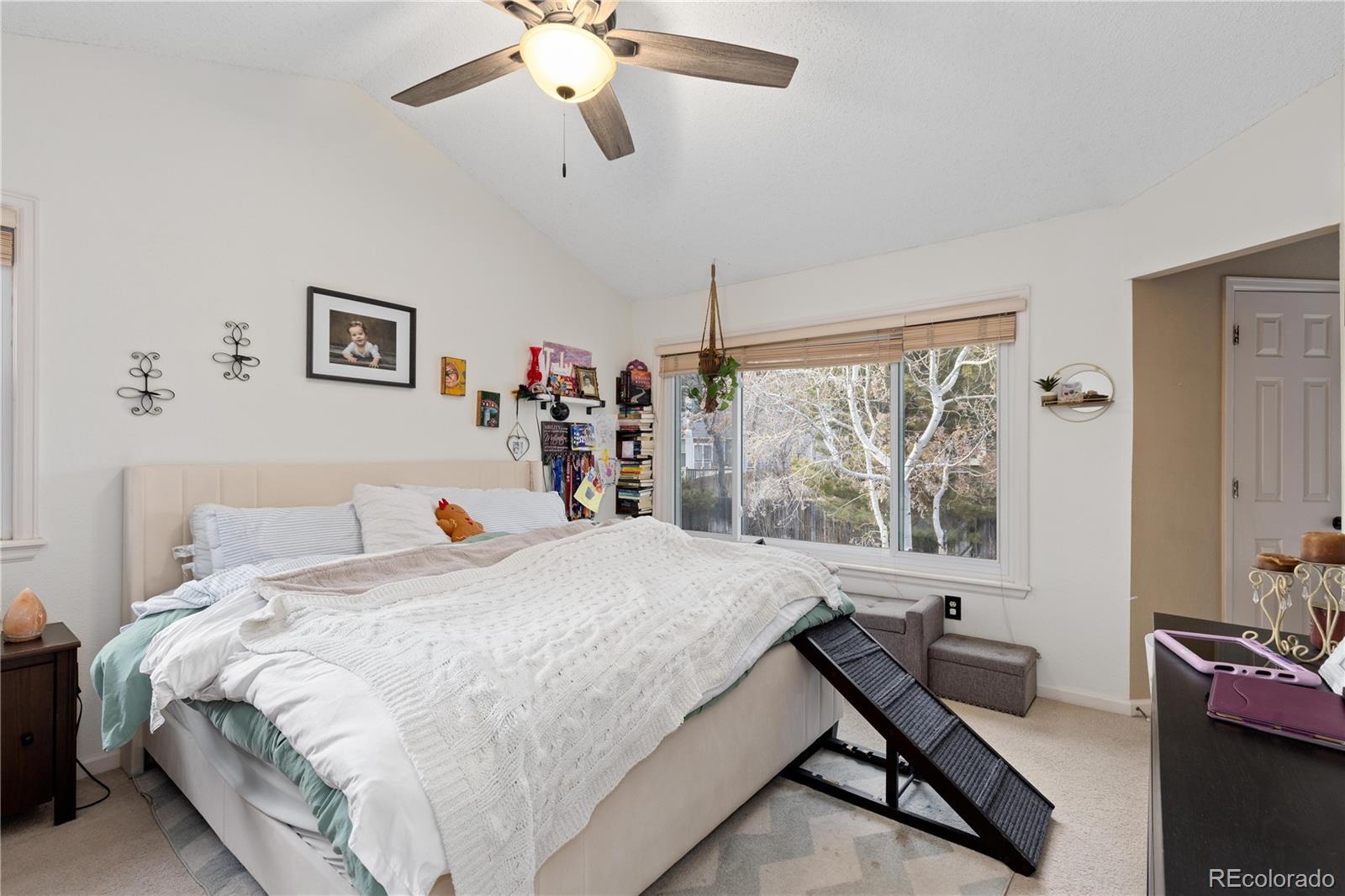MLS Image #13 for 16224  quarry hill drive,parker, Colorado