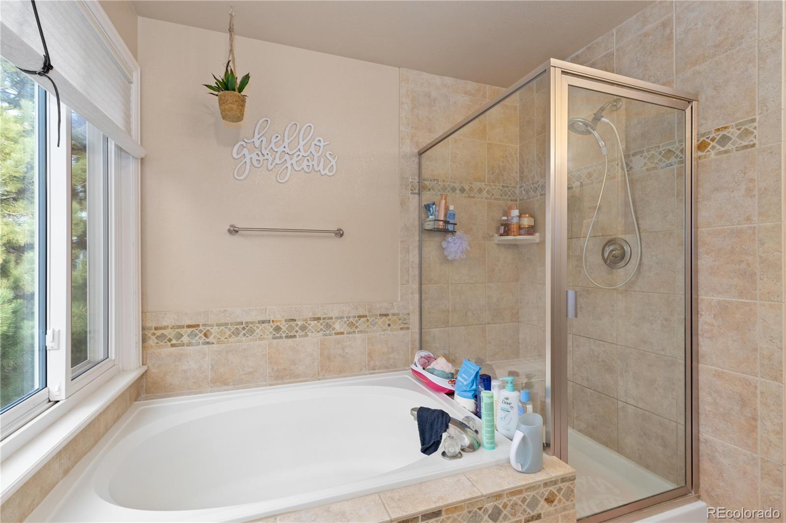 MLS Image #15 for 16224  quarry hill drive,parker, Colorado