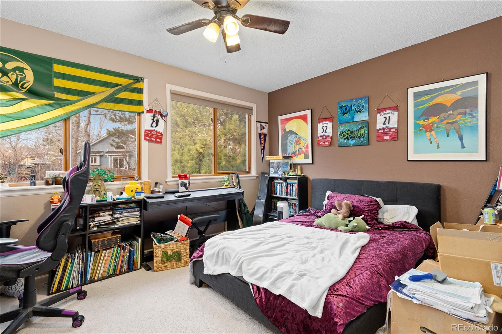 MLS Image #19 for 16224  quarry hill drive,parker, Colorado
