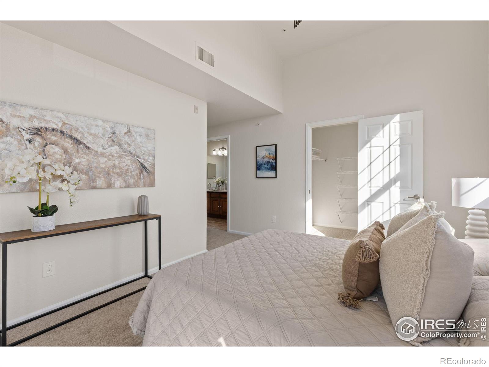 MLS Image #11 for 1450  blue sky way 308,erie, Colorado