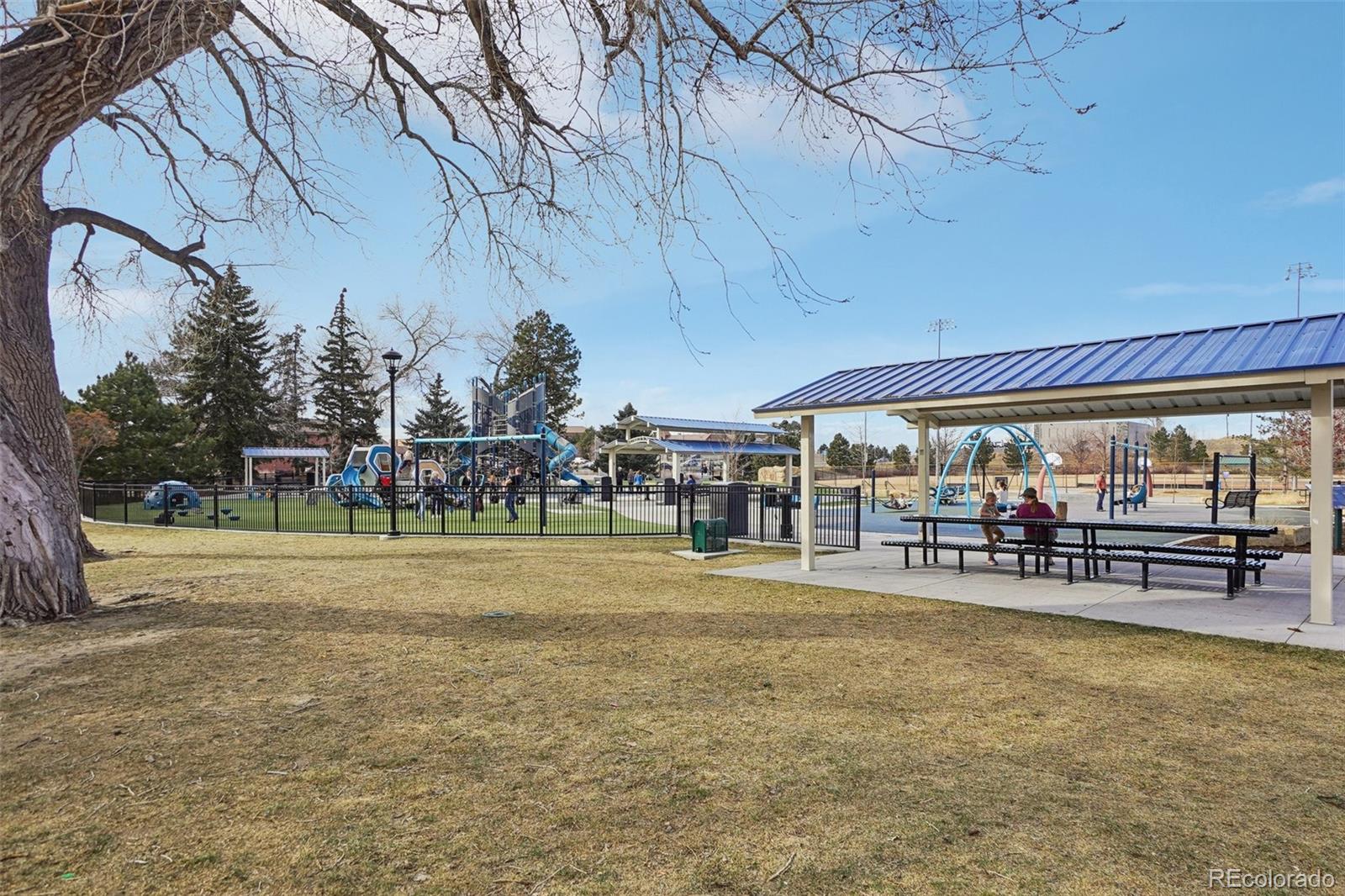 MLS Image #38 for 16821  bitterbrush lane,parker, Colorado