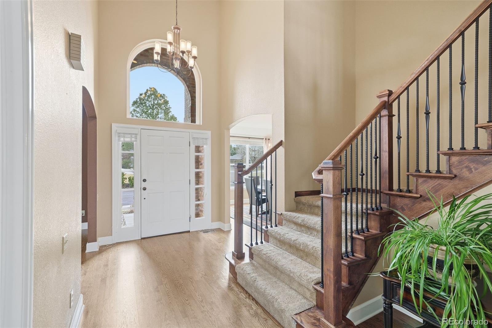 MLS Image #4 for 6879  ingleton drive,castle pines, Colorado