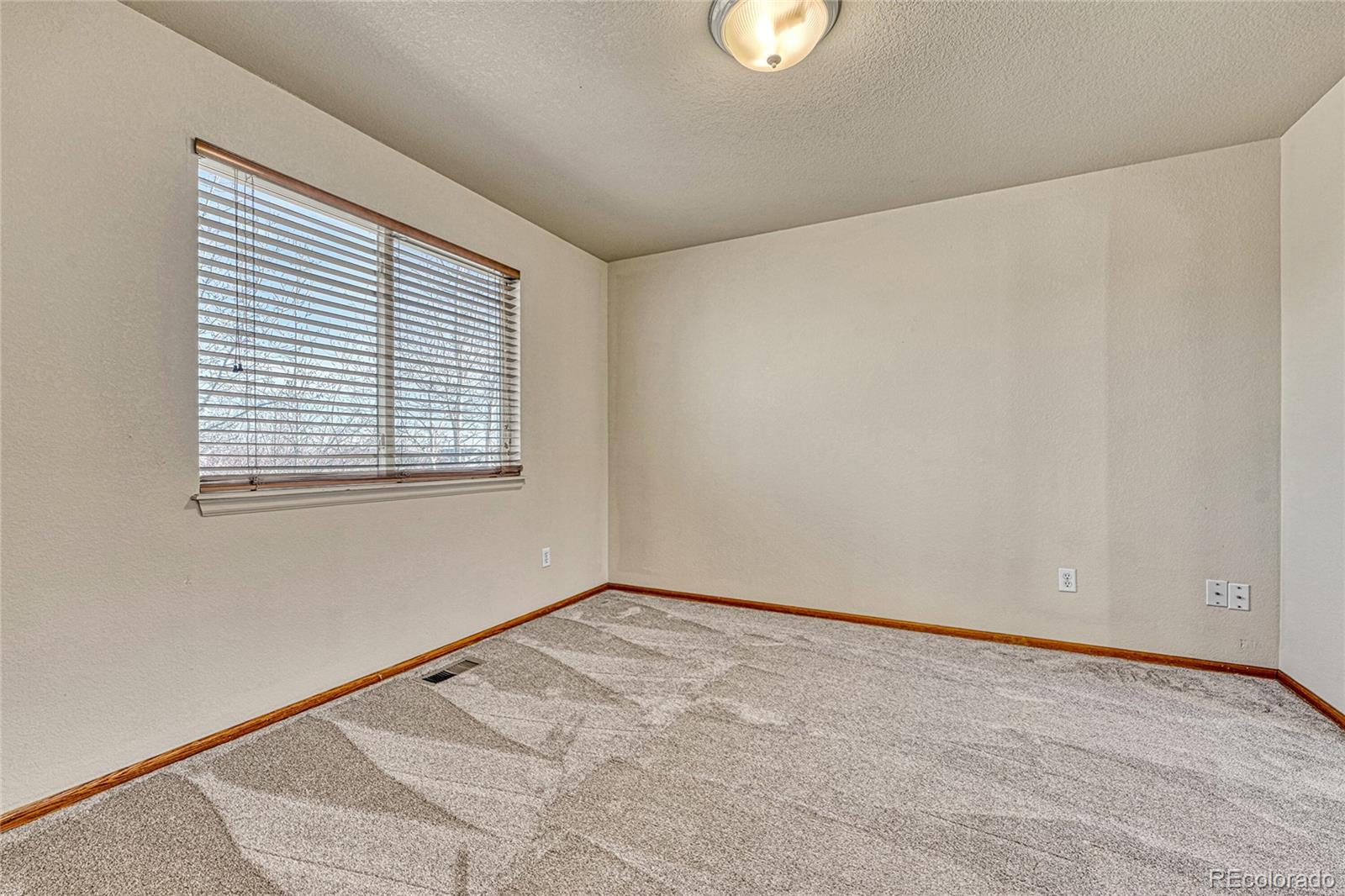 MLS Image #9 for 13808  hudson way,thornton, Colorado