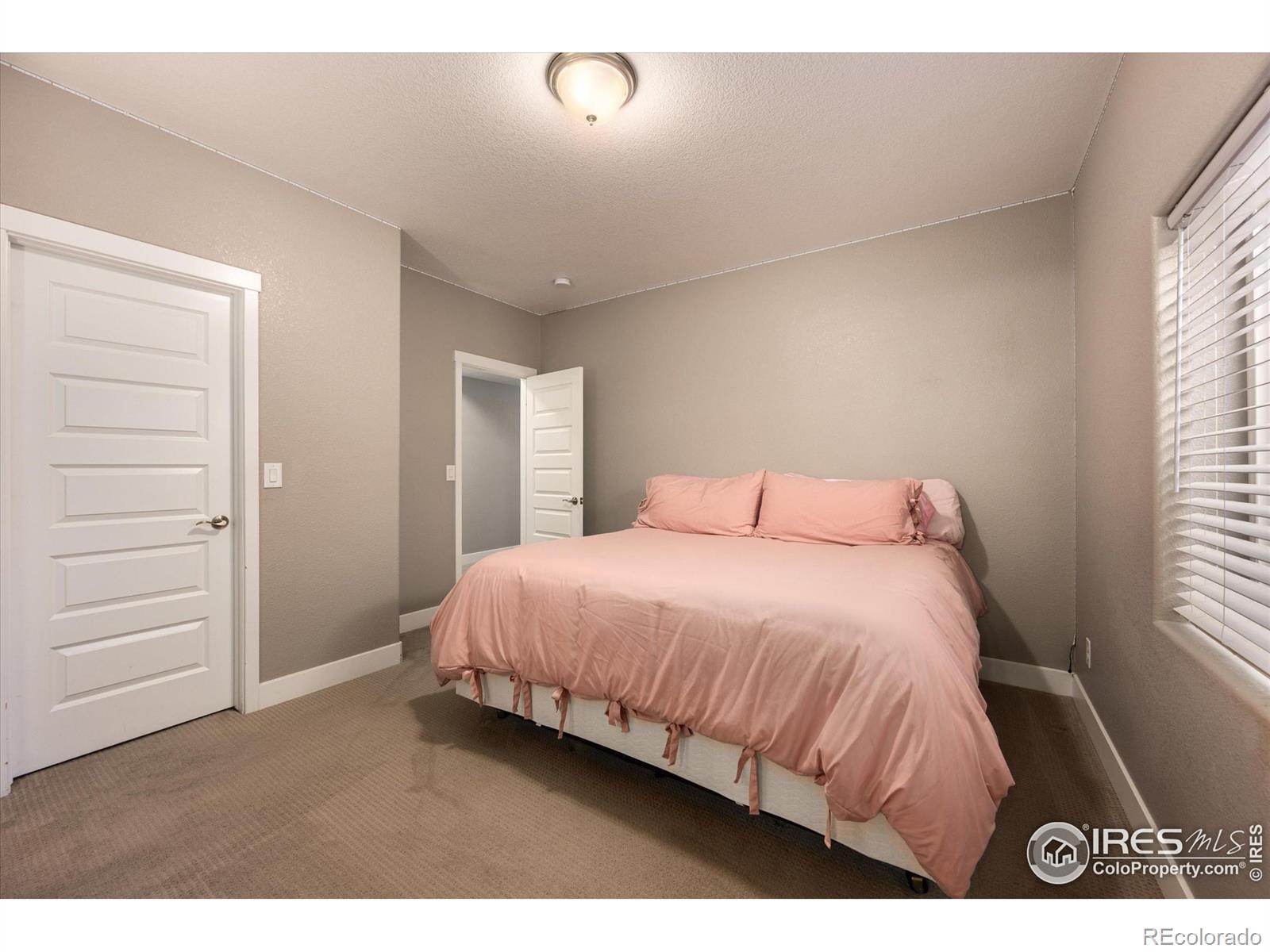 MLS Image #26 for 1378  copeland falls road,severance, Colorado
