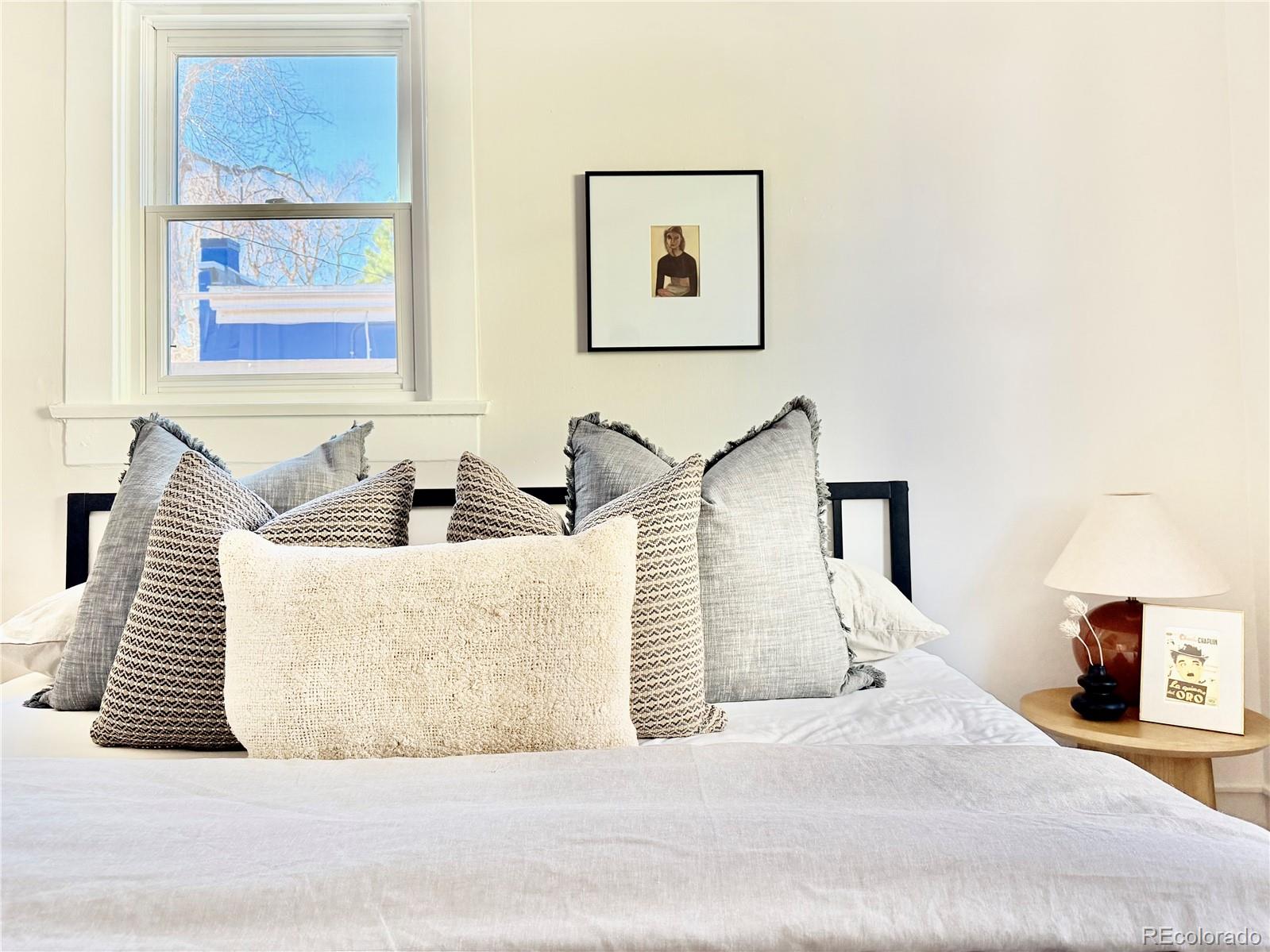 MLS Image #15 for 715 e 4th avenue,denver, Colorado
