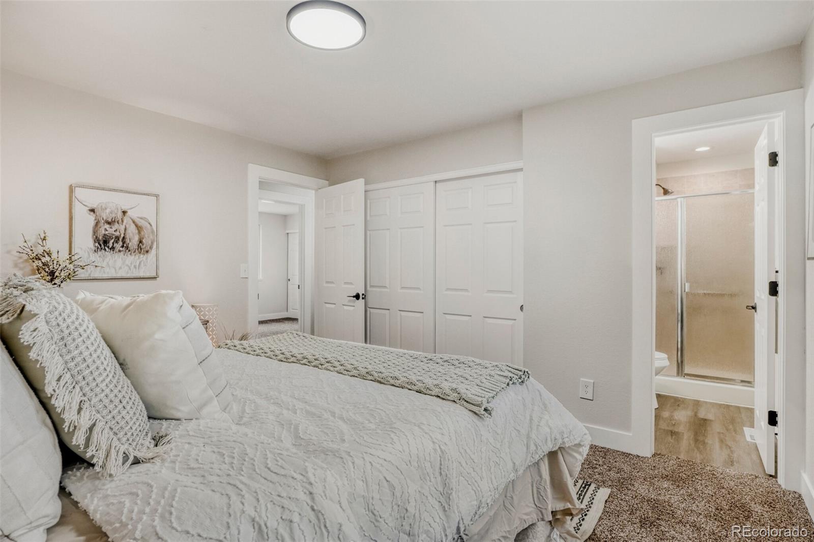 MLS Image #11 for 2597 s dillon street,aurora, Colorado
