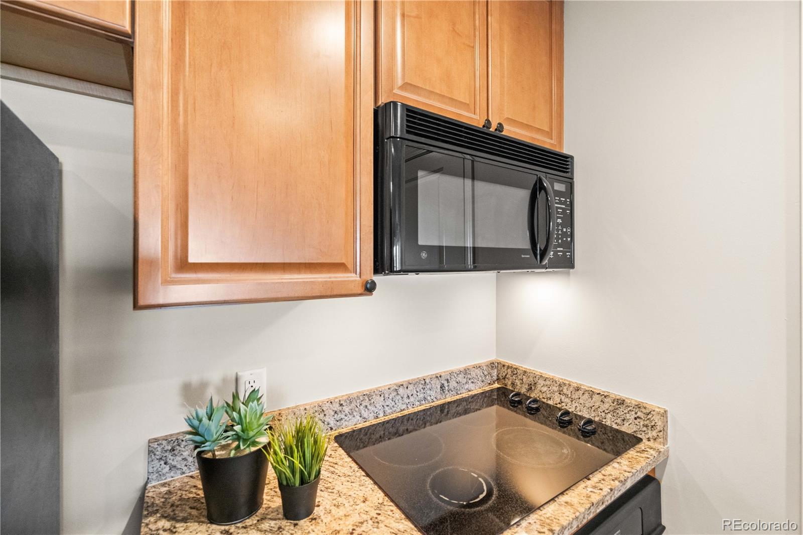 MLS Image #15 for 975 n lincoln street,denver, Colorado