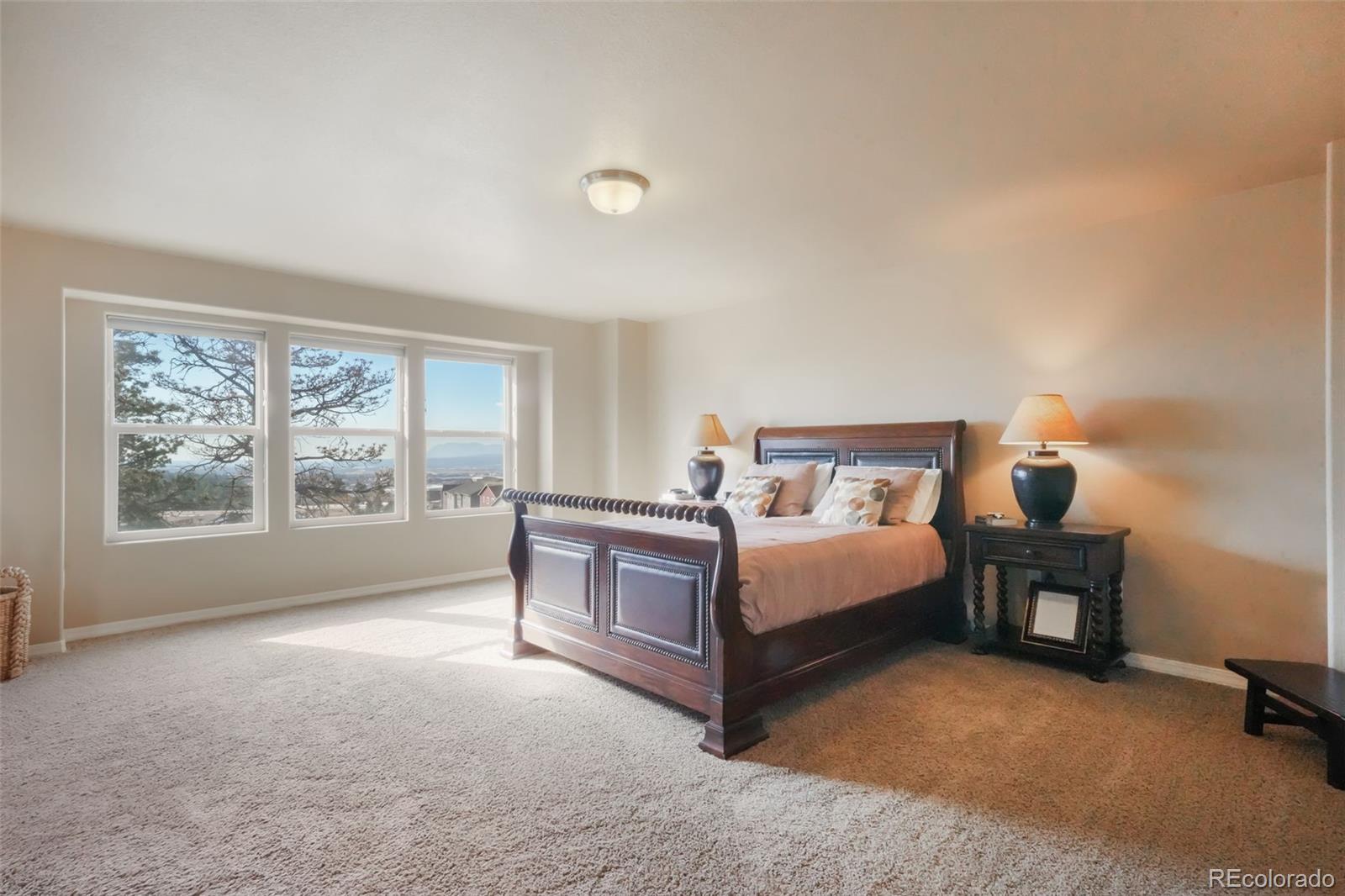 MLS Image #19 for 19703  serenity springs point,monument, Colorado