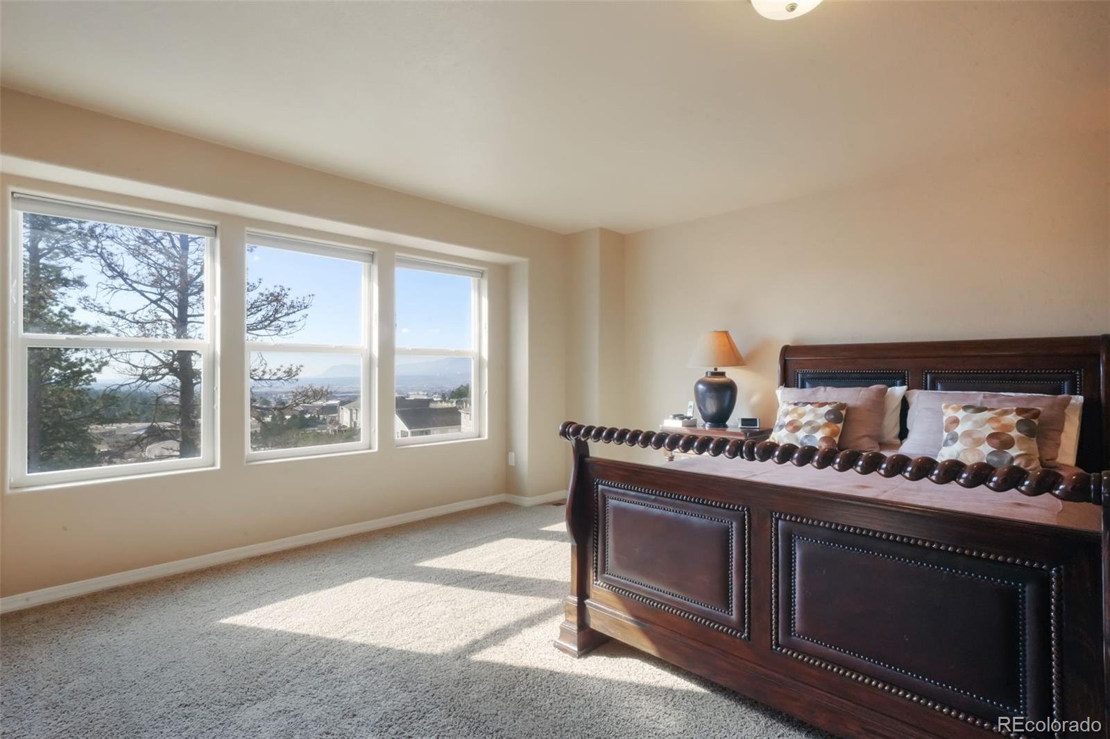 MLS Image #20 for 19703  serenity springs point,monument, Colorado