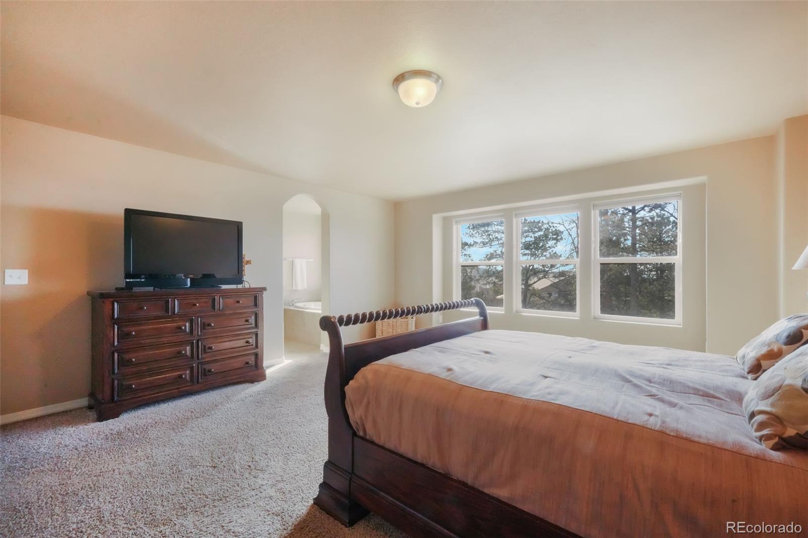 MLS Image #23 for 19703  serenity springs point,monument, Colorado