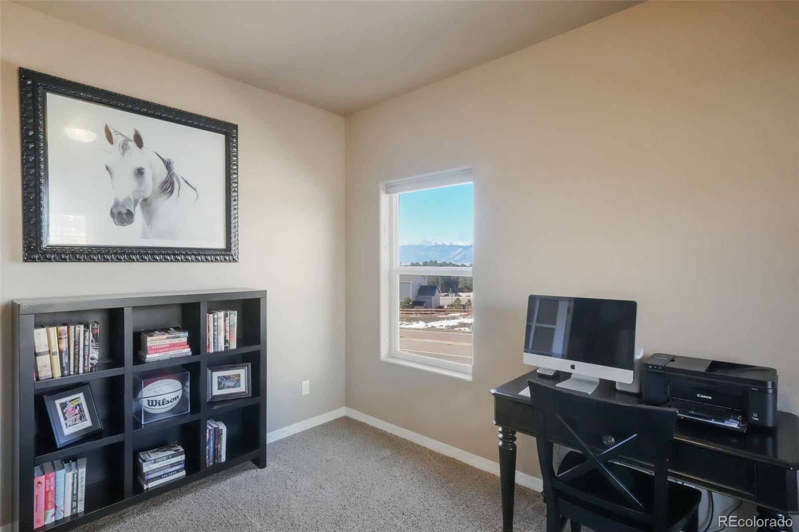 MLS Image #5 for 19703  serenity springs point,monument, Colorado