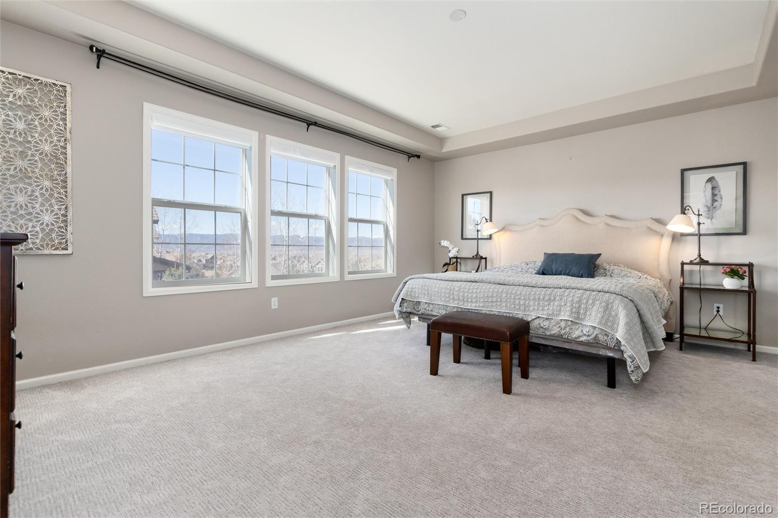 MLS Image #18 for 10480  skyreach road,highlands ranch, Colorado