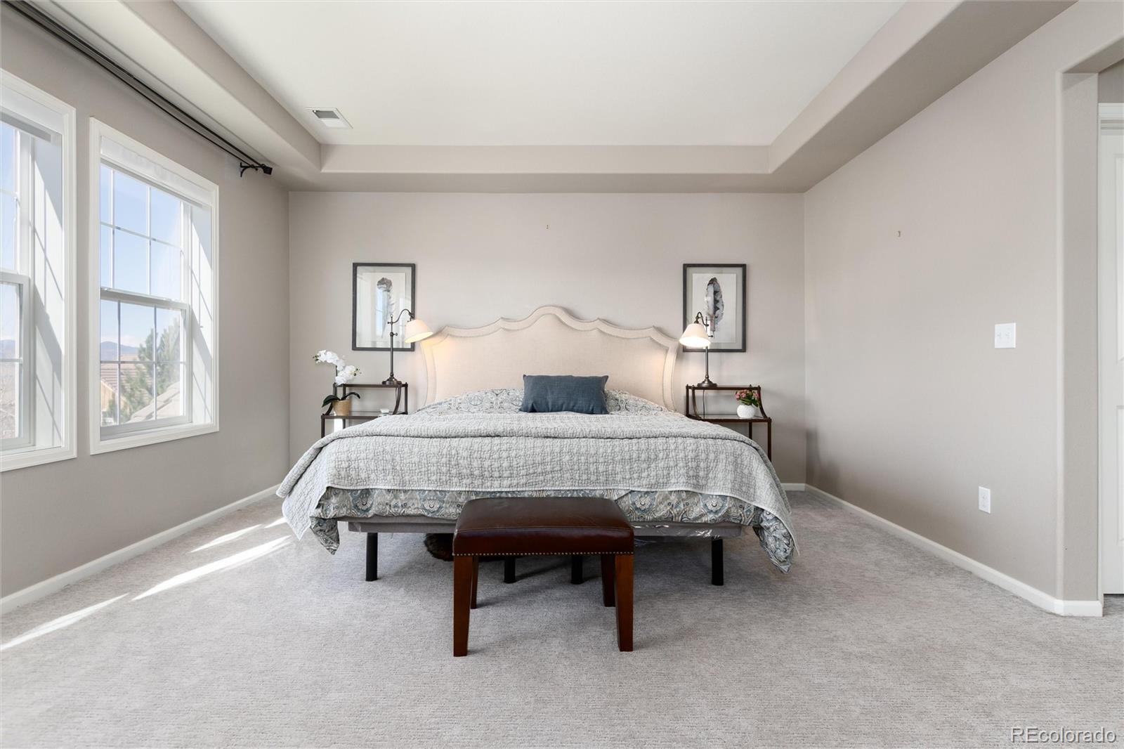 MLS Image #19 for 10480  skyreach road,highlands ranch, Colorado
