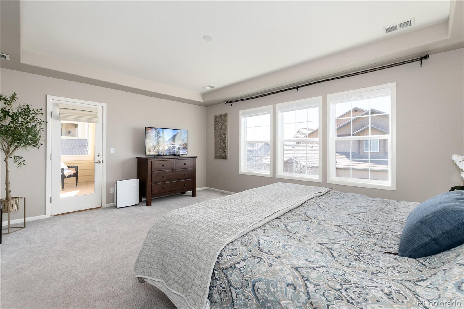 MLS Image #20 for 10480  skyreach road,highlands ranch, Colorado