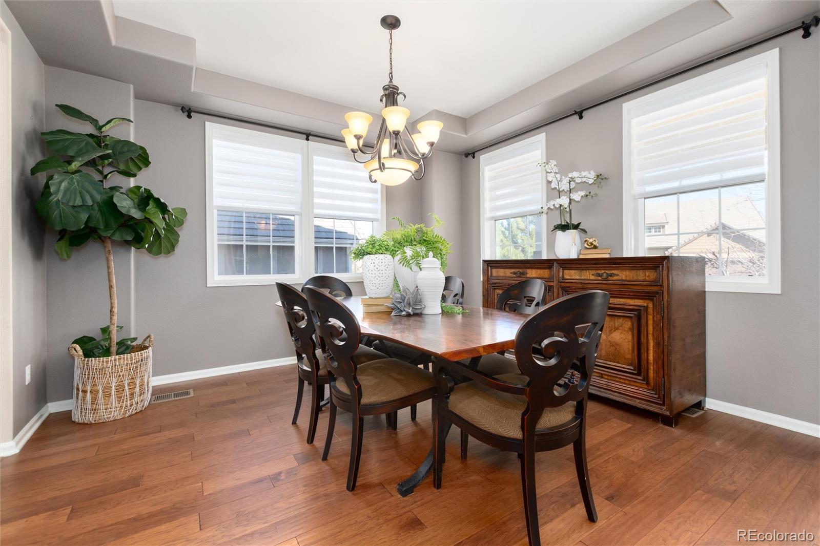 MLS Image #3 for 10480  skyreach road,highlands ranch, Colorado