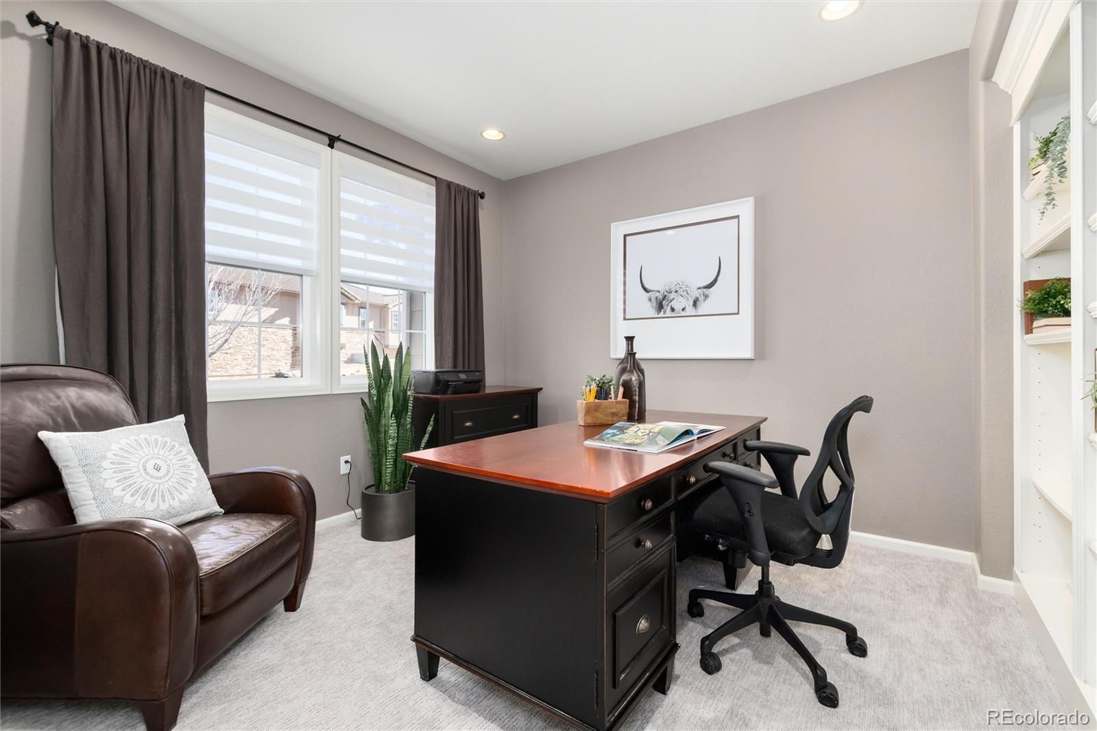 MLS Image #5 for 10480  skyreach road,highlands ranch, Colorado
