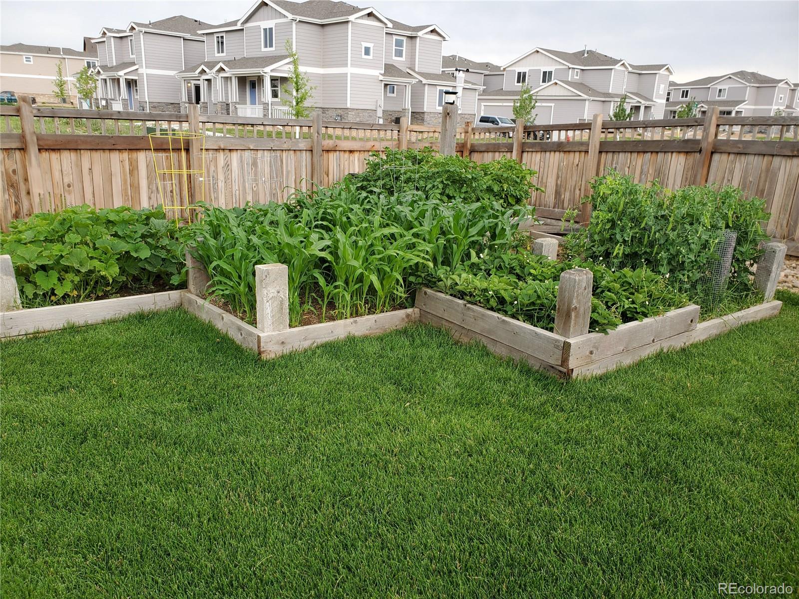 MLS Image #43 for 6061  miners peak circle,frederick, Colorado
