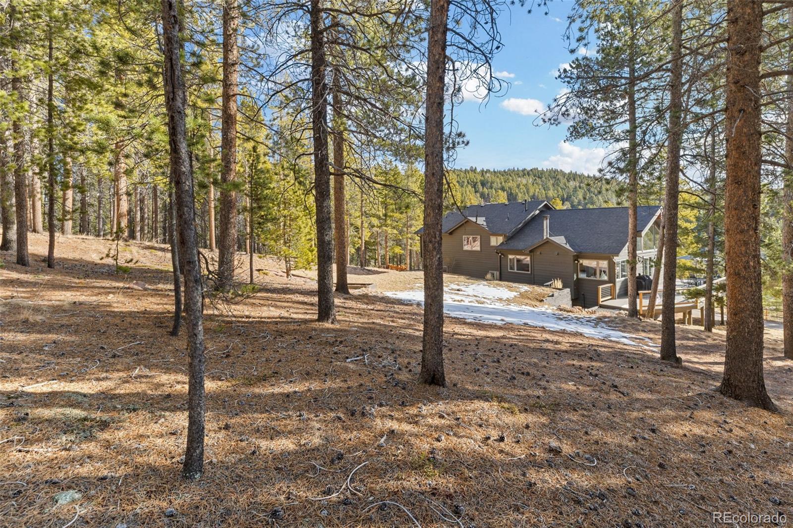 MLS Image #12 for 32663  donna drive,conifer, Colorado