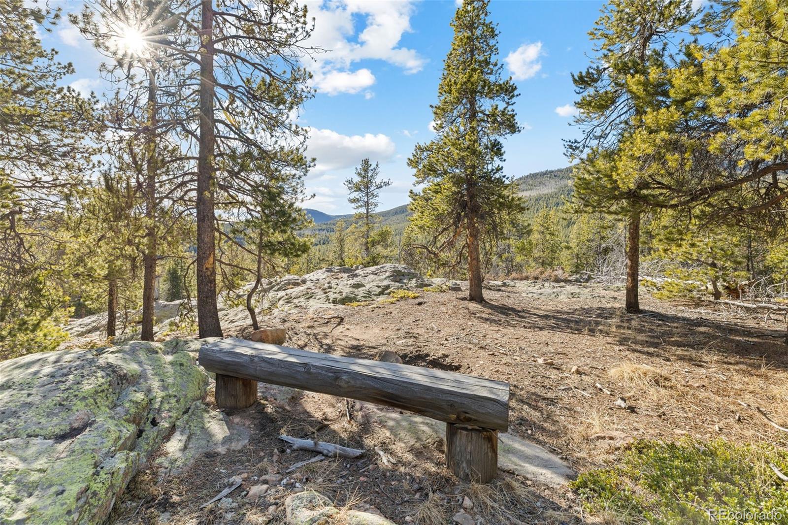 MLS Image #13 for 32663  donna drive,conifer, Colorado