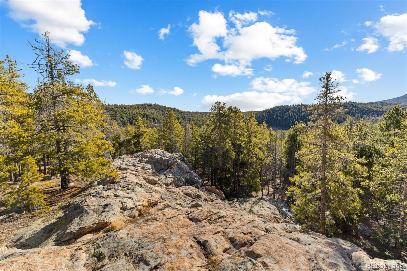 MLS Image #14 for 32663  donna drive,conifer, Colorado