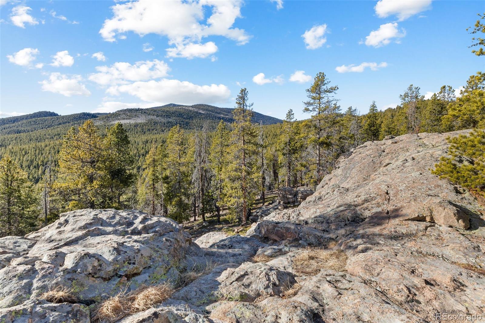 MLS Image #15 for 32663  donna drive,conifer, Colorado