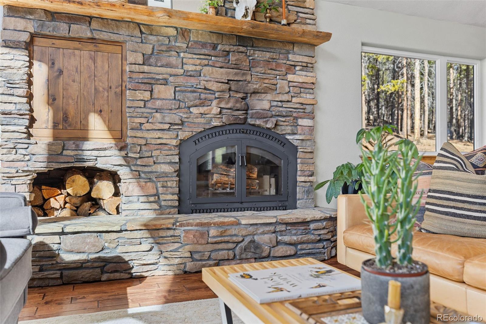 MLS Image #20 for 32663  donna drive,conifer, Colorado