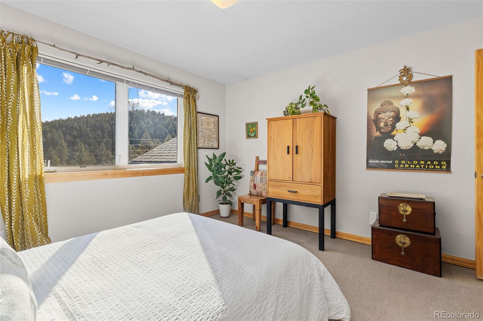 MLS Image #39 for 32663  donna drive,conifer, Colorado