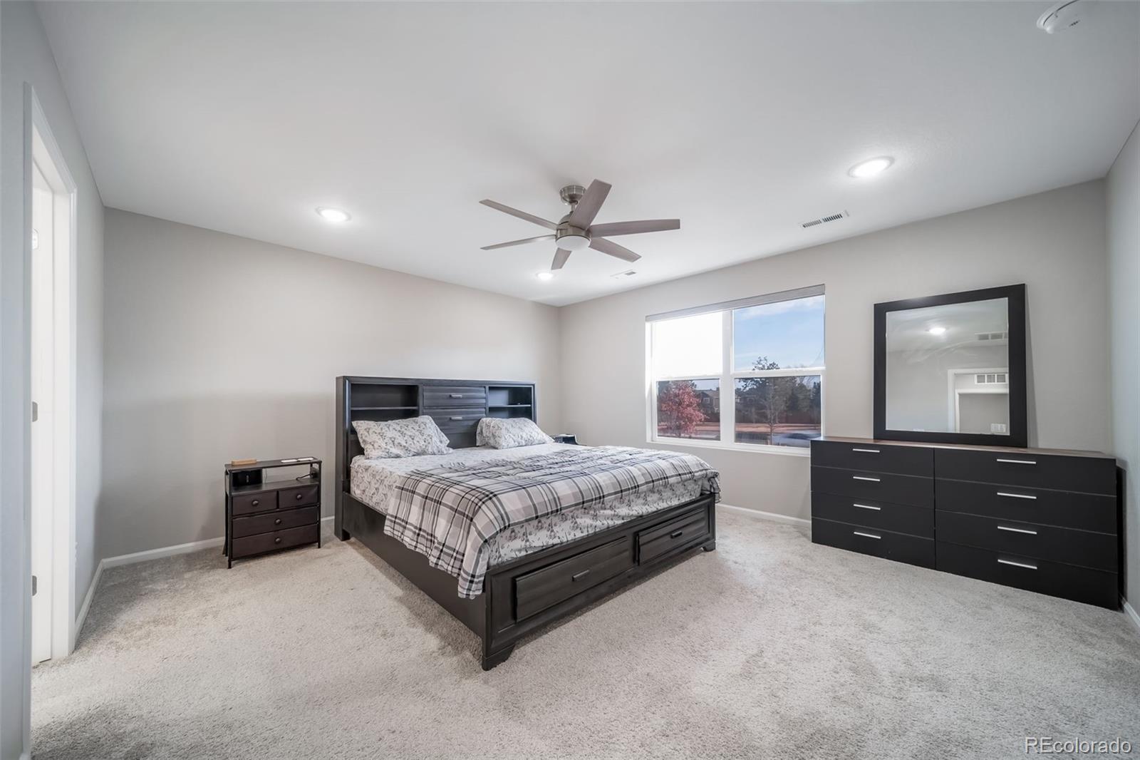 MLS Image #24 for 3872  red valley circle,castle rock, Colorado