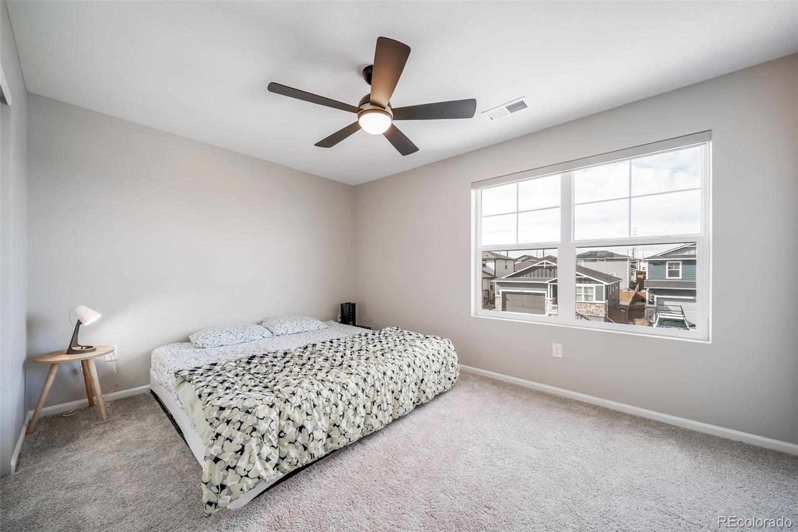 MLS Image #28 for 3872  red valley circle,castle rock, Colorado