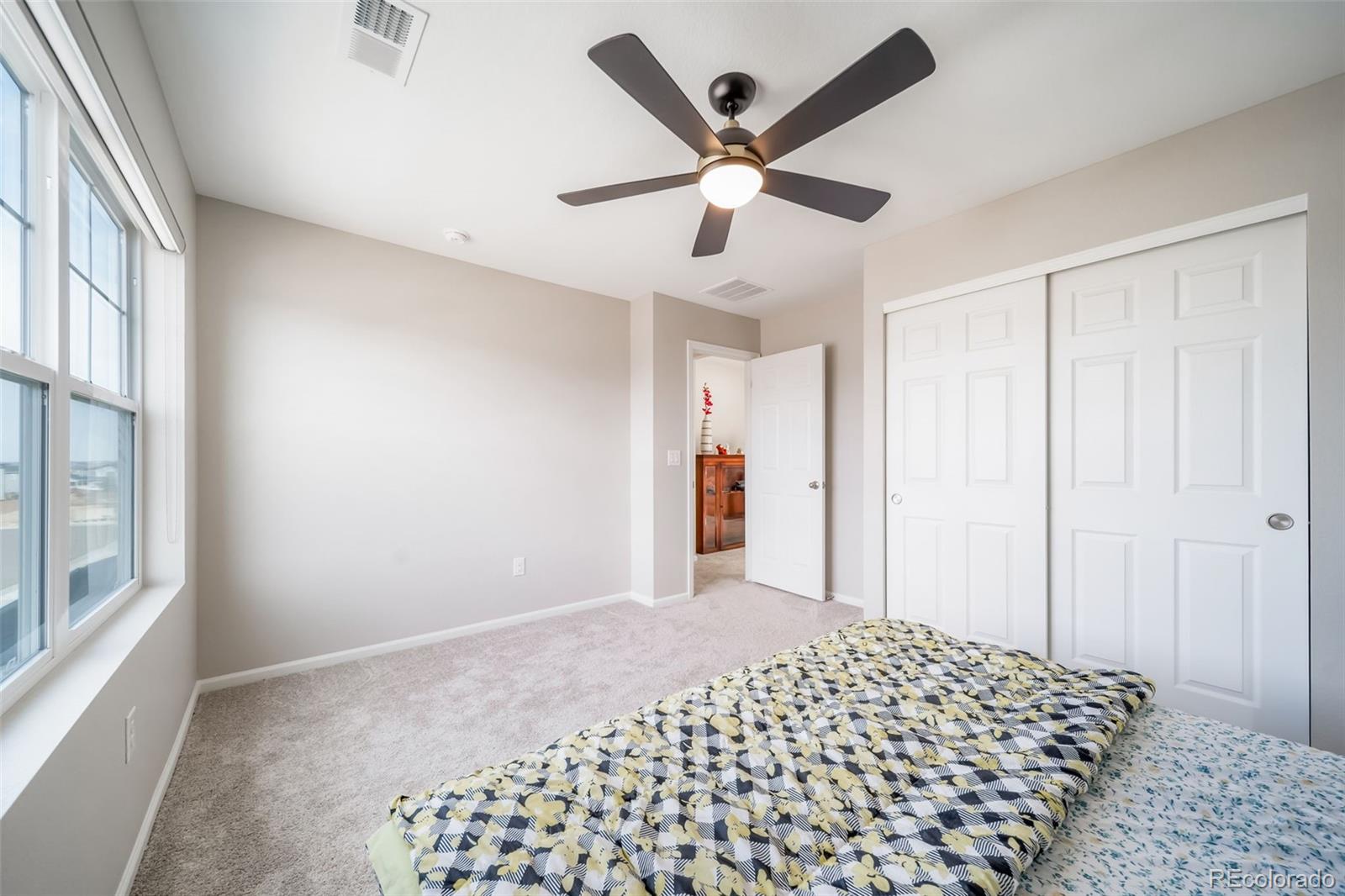 MLS Image #29 for 3872  red valley circle,castle rock, Colorado