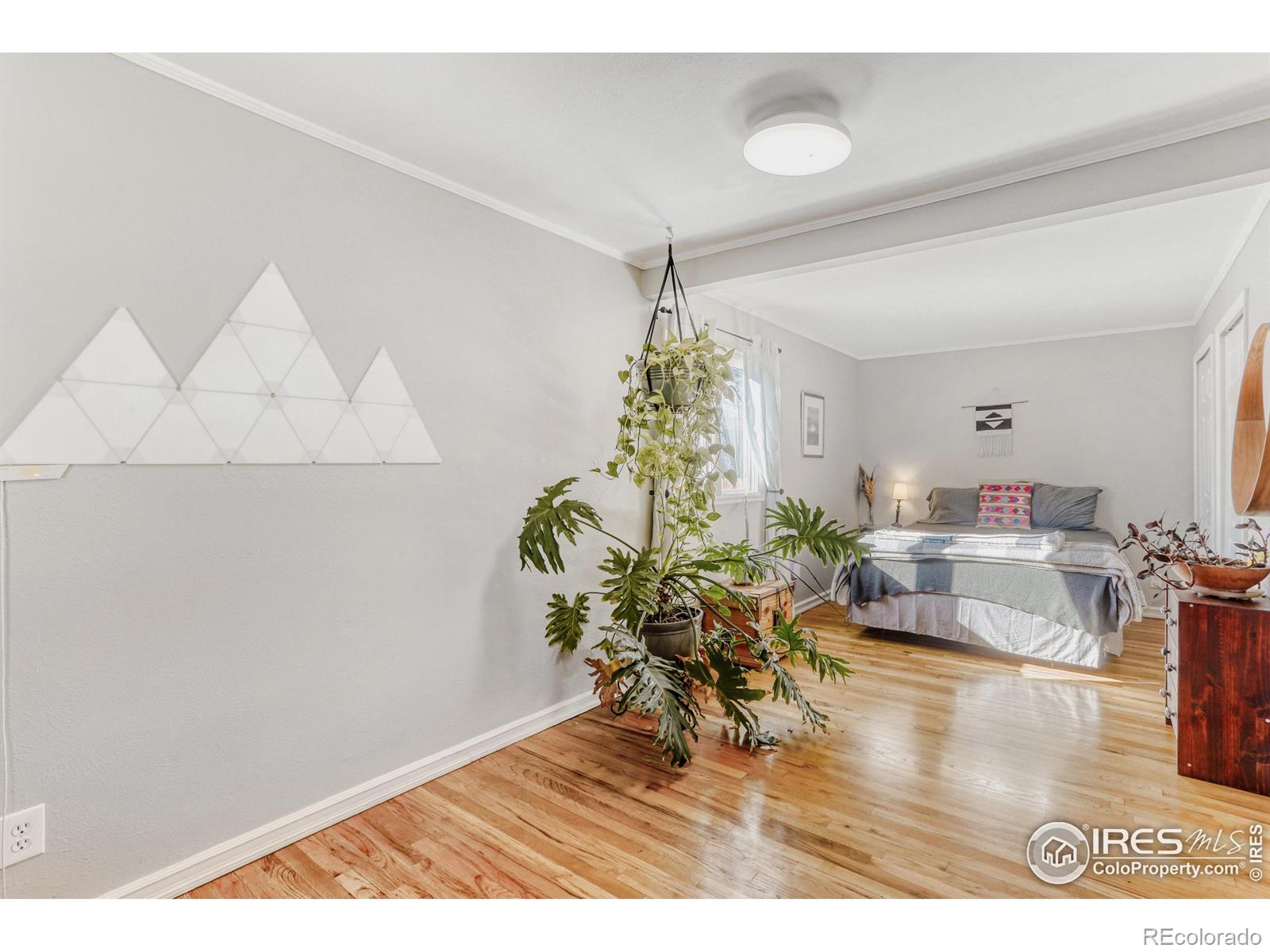 MLS Image #11 for 3225  arnett street,boulder, Colorado