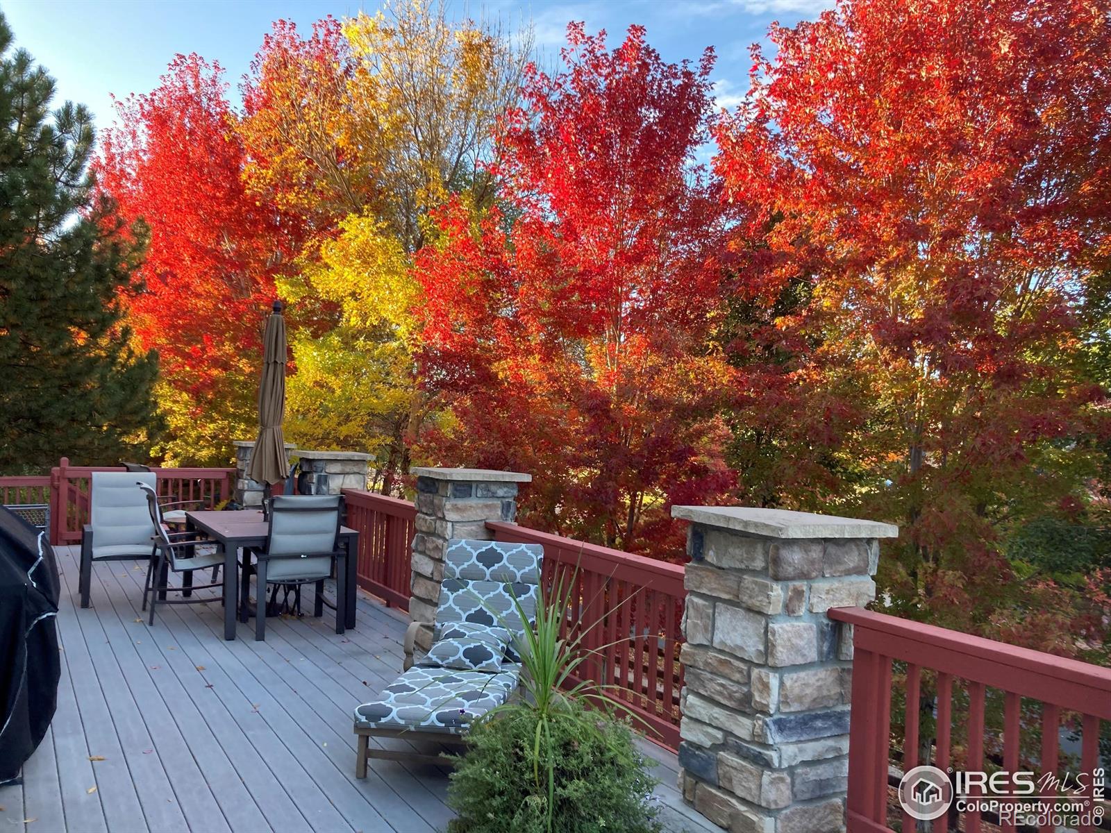 MLS Image #1 for 5313  heather court,broomfield, Colorado