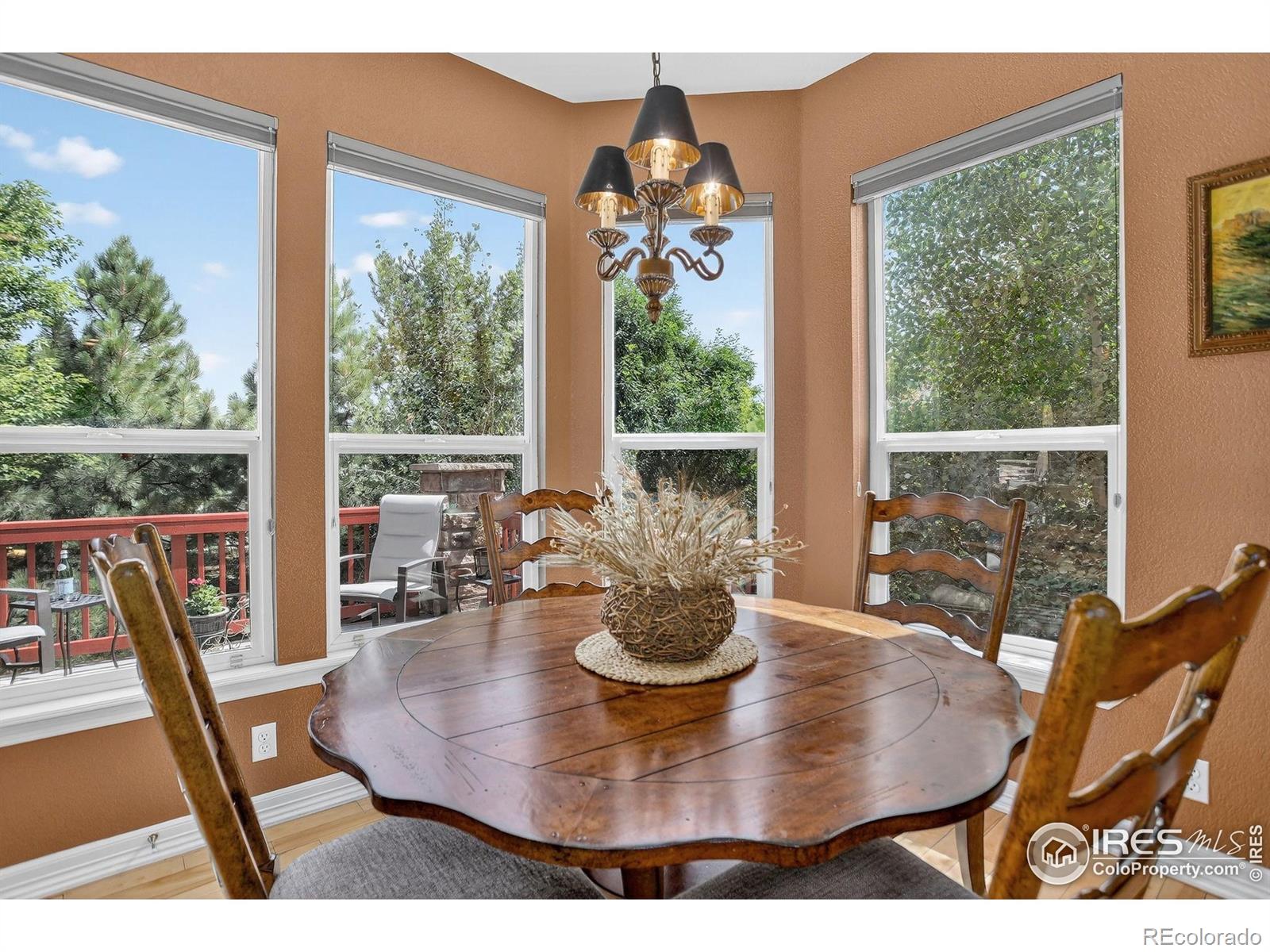 MLS Image #11 for 5313  heather court,broomfield, Colorado