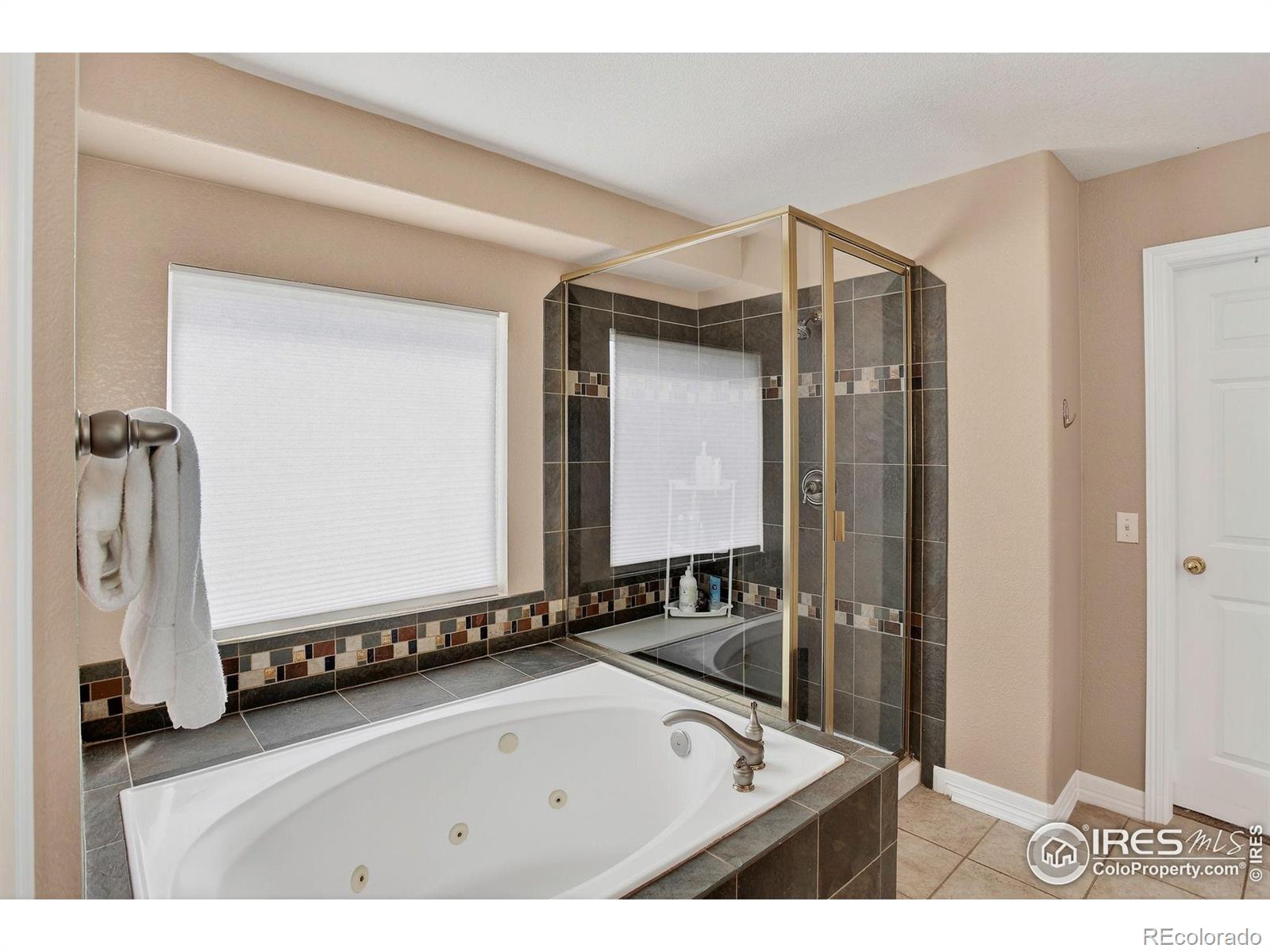 MLS Image #21 for 5313  heather court,broomfield, Colorado