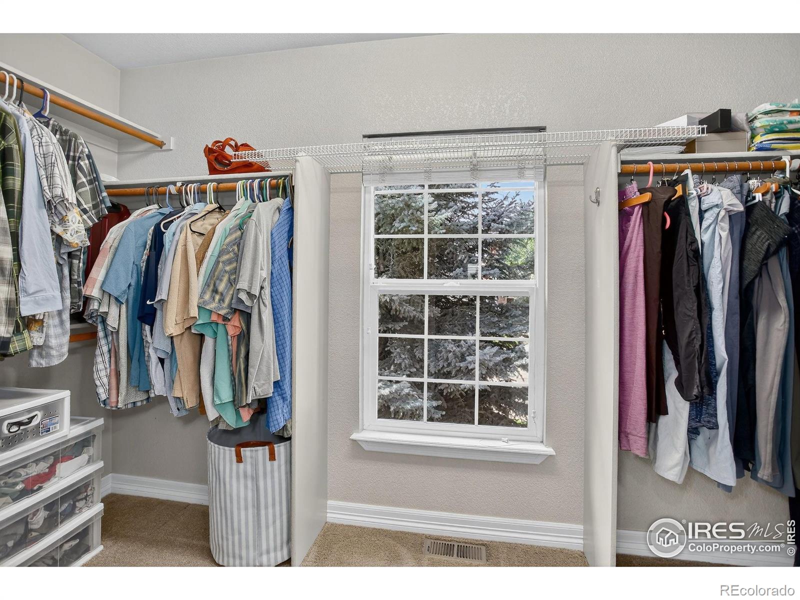 MLS Image #23 for 5313  heather court,broomfield, Colorado