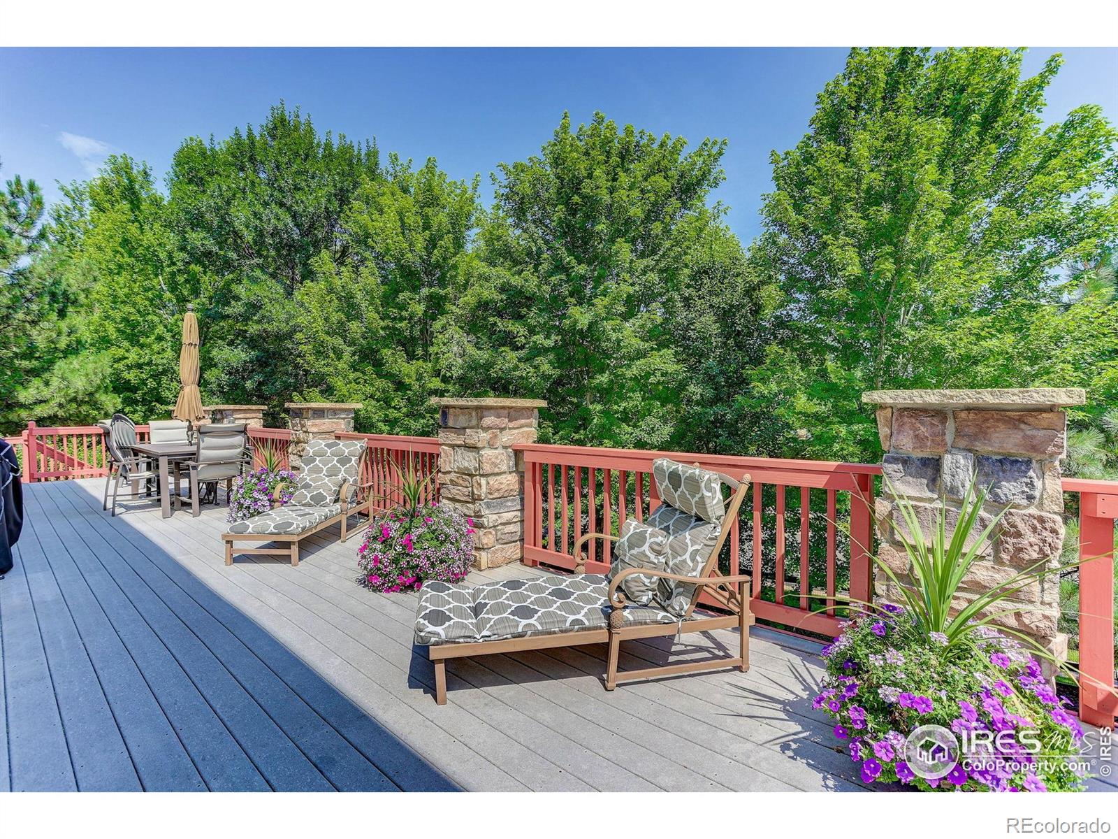 MLS Image #32 for 5313  heather court,broomfield, Colorado