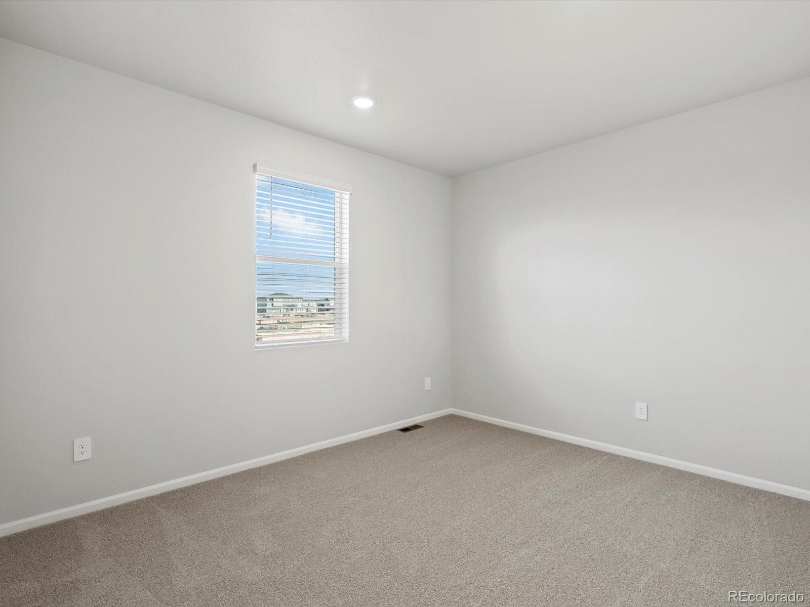 MLS Image #12 for 1622  rumley creek drive,windsor, Colorado