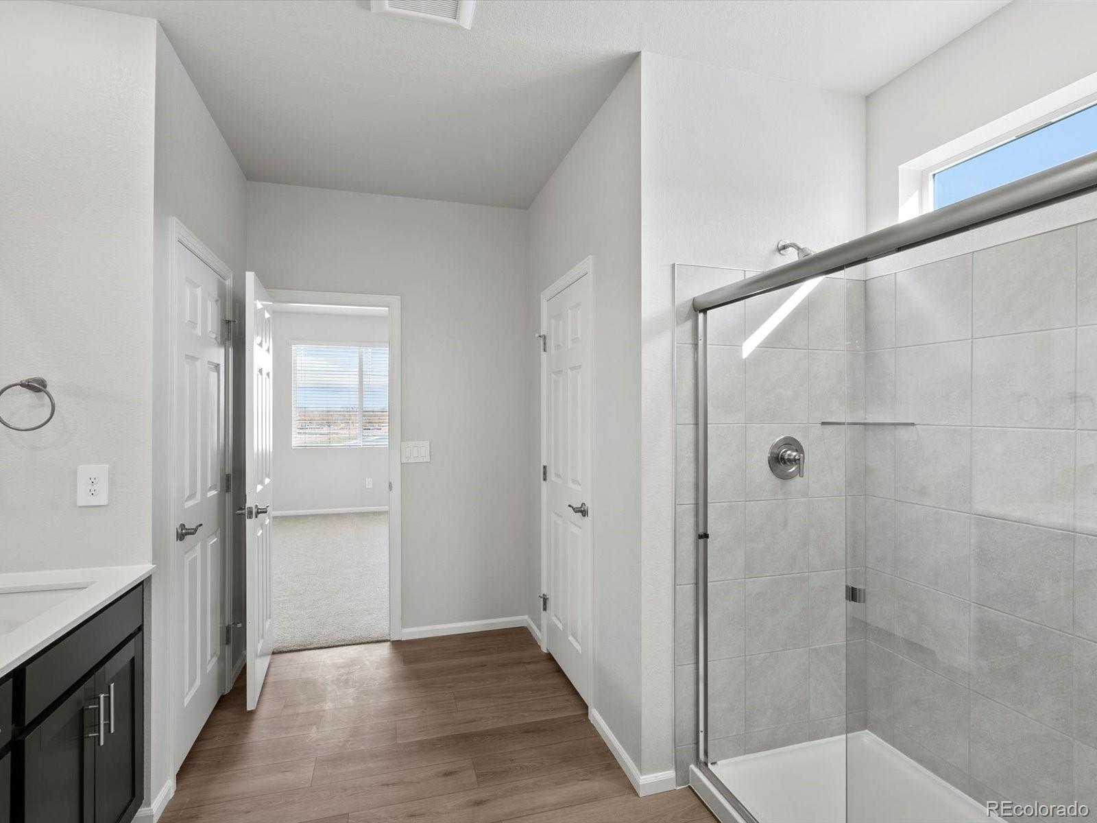 MLS Image #18 for 1622  rumley creek drive,windsor, Colorado