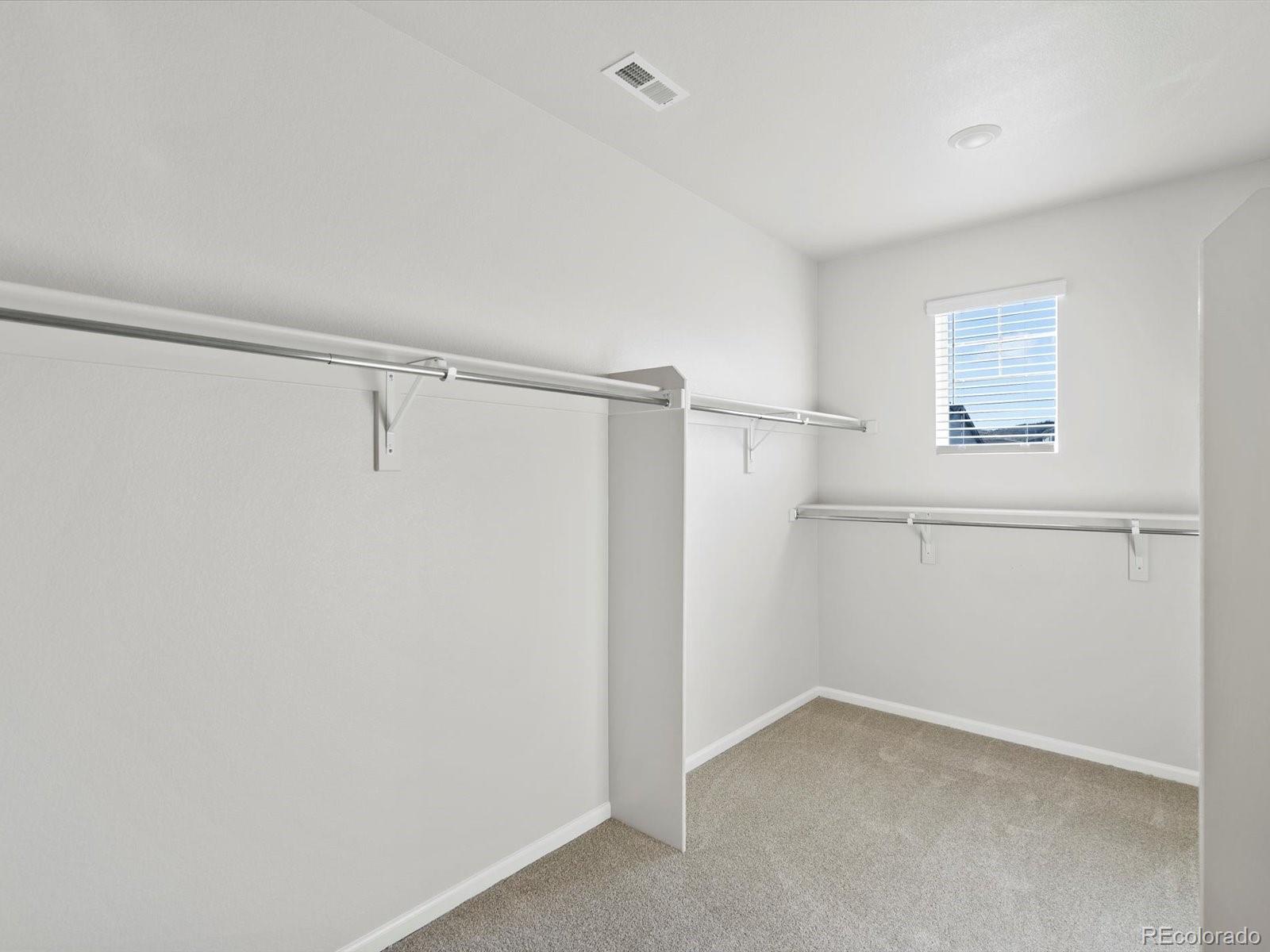 MLS Image #19 for 1622  rumley creek drive,windsor, Colorado