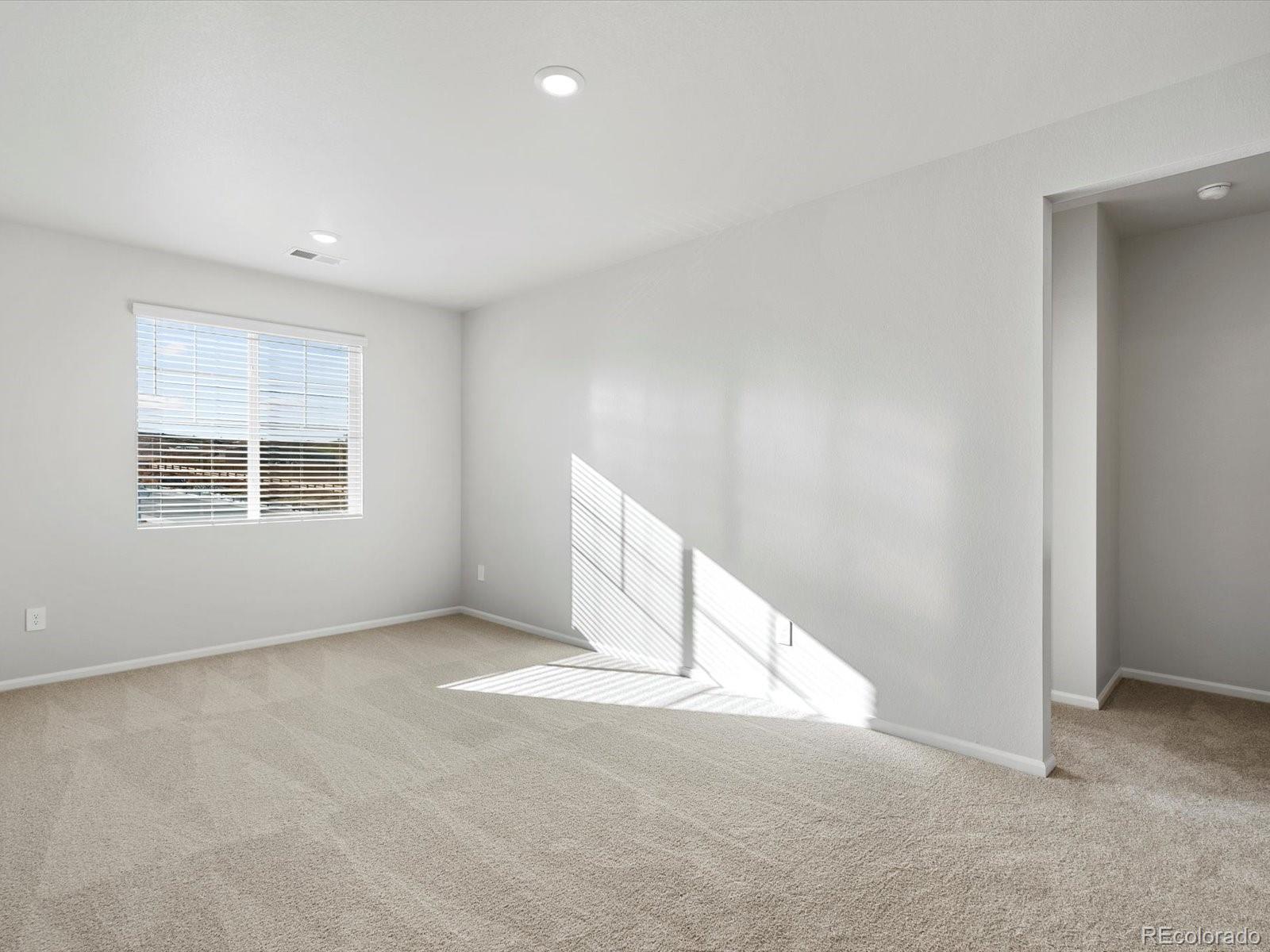 MLS Image #23 for 1622  rumley creek drive,windsor, Colorado