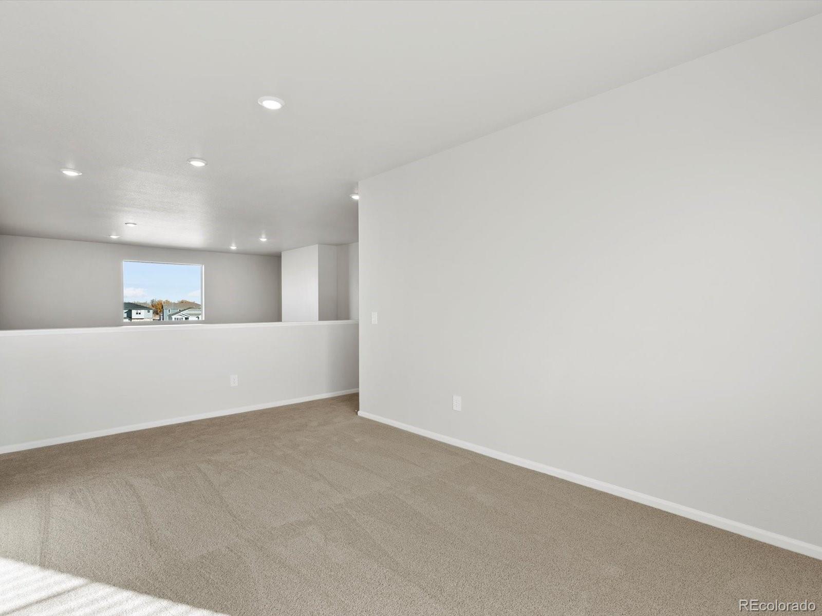 MLS Image #24 for 1622  rumley creek drive,windsor, Colorado